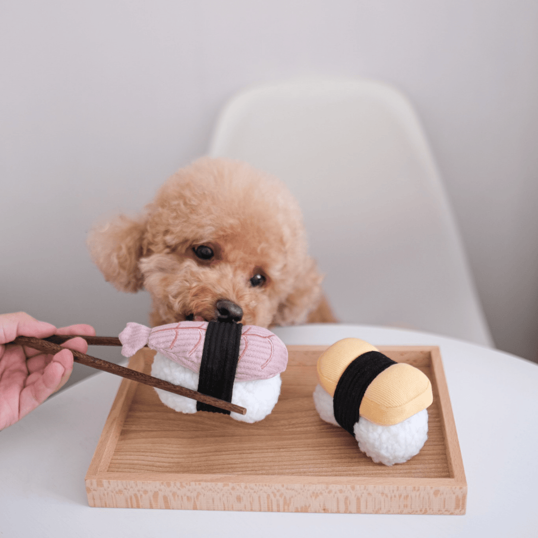 Sushi (Set of 2) - Woof Living