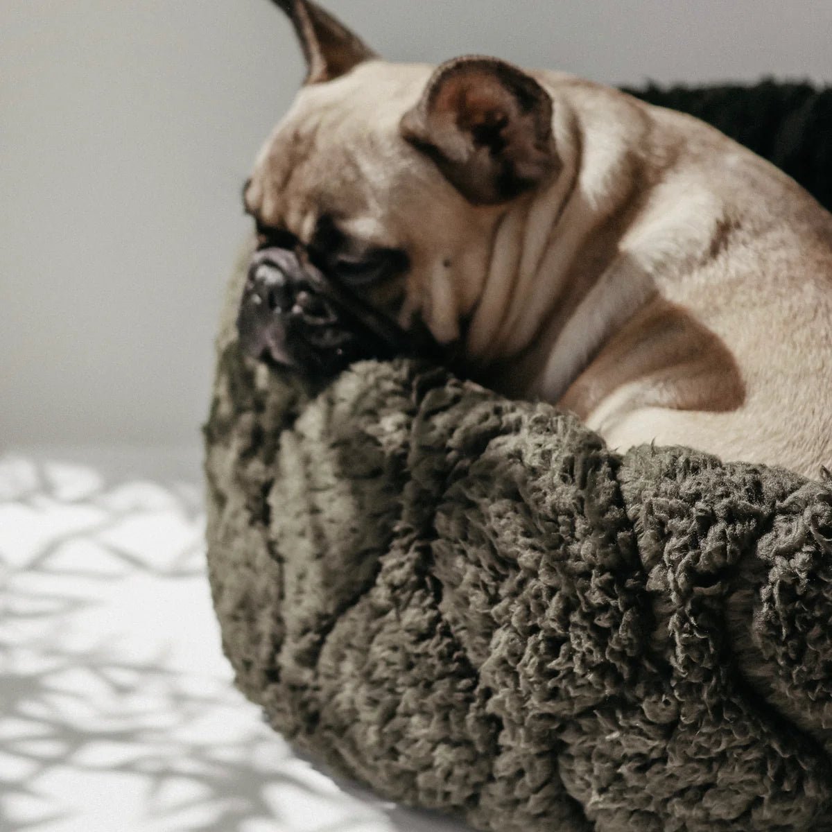 TAART - Woof Living