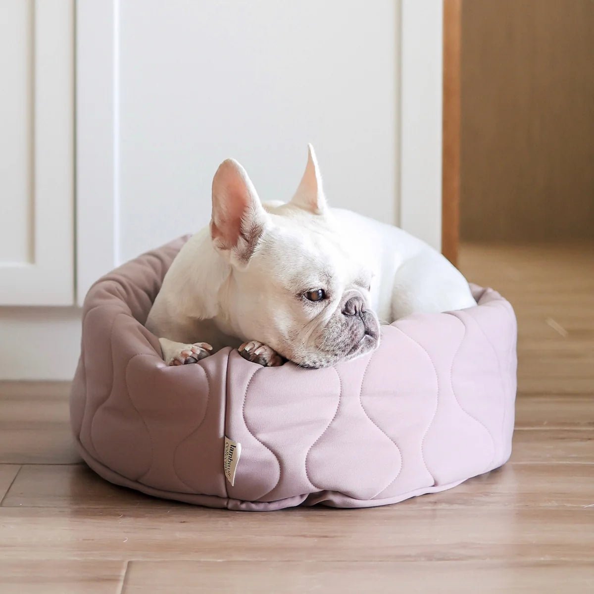 TAART - Woof Living