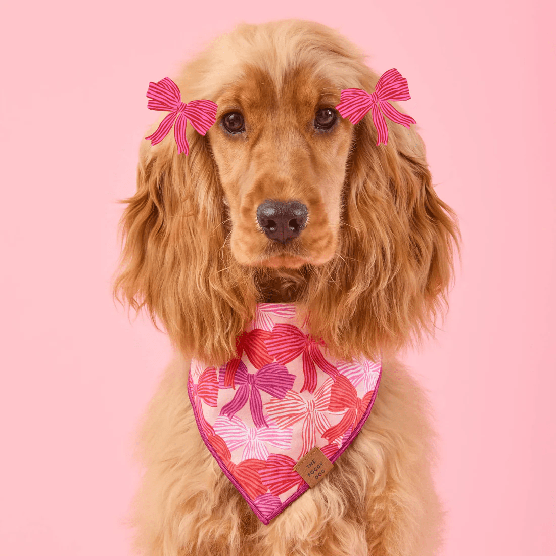 Take a Bow Bandana - Woof Living