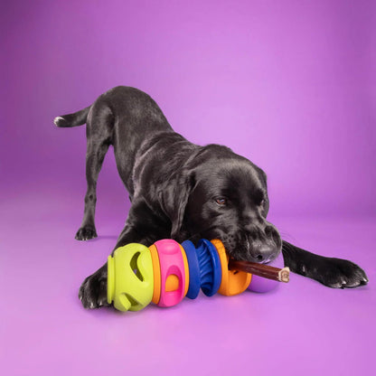 The Squiggle - Woof Living