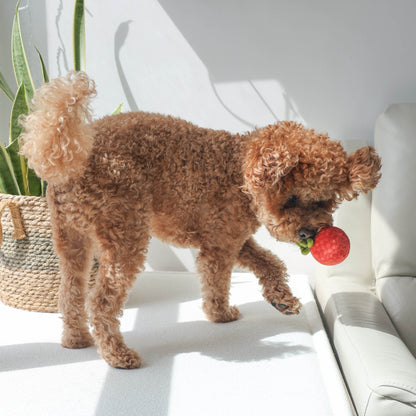 Tomato Soup Nosework Toy - Woof Living