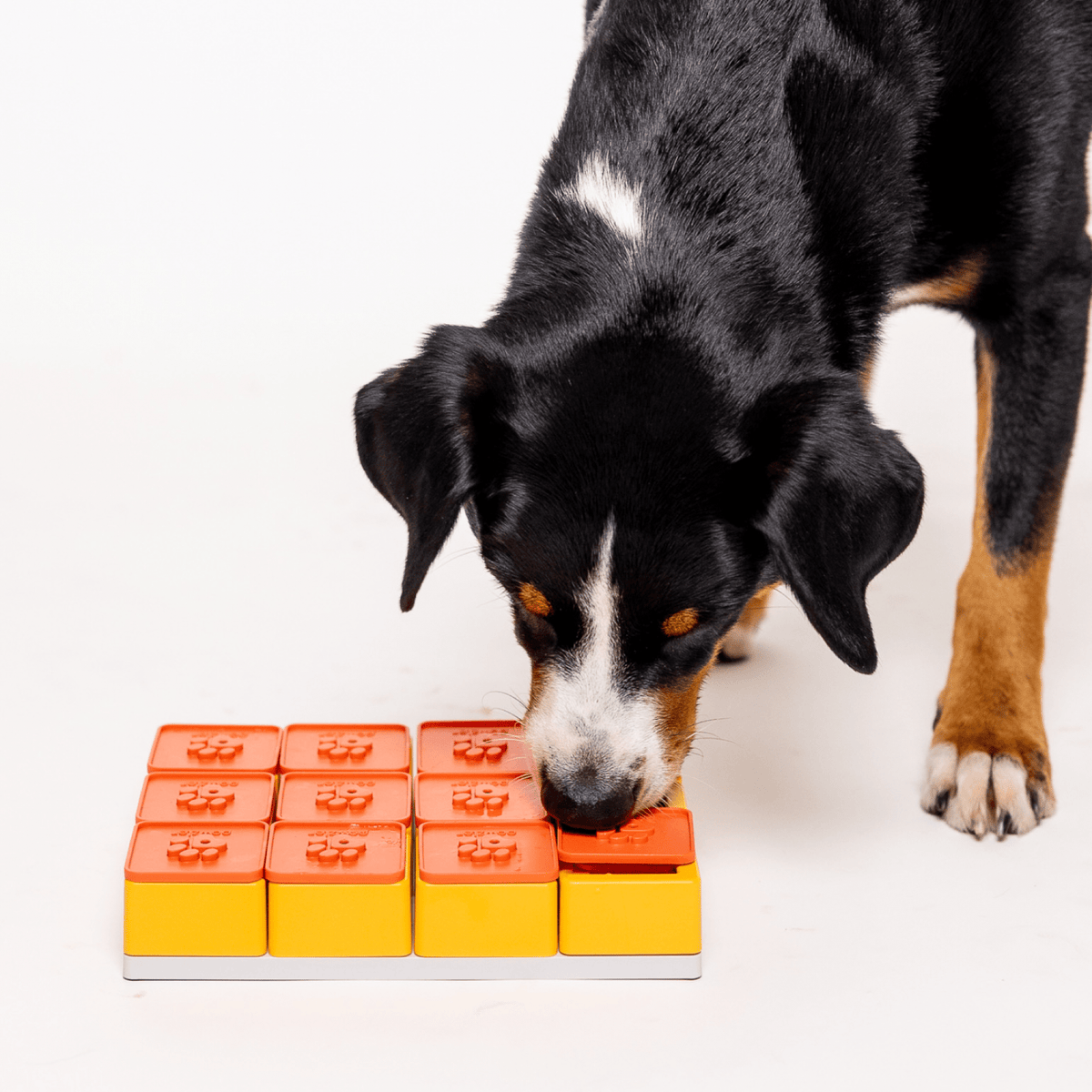 Treat Maze Set - Woof Living