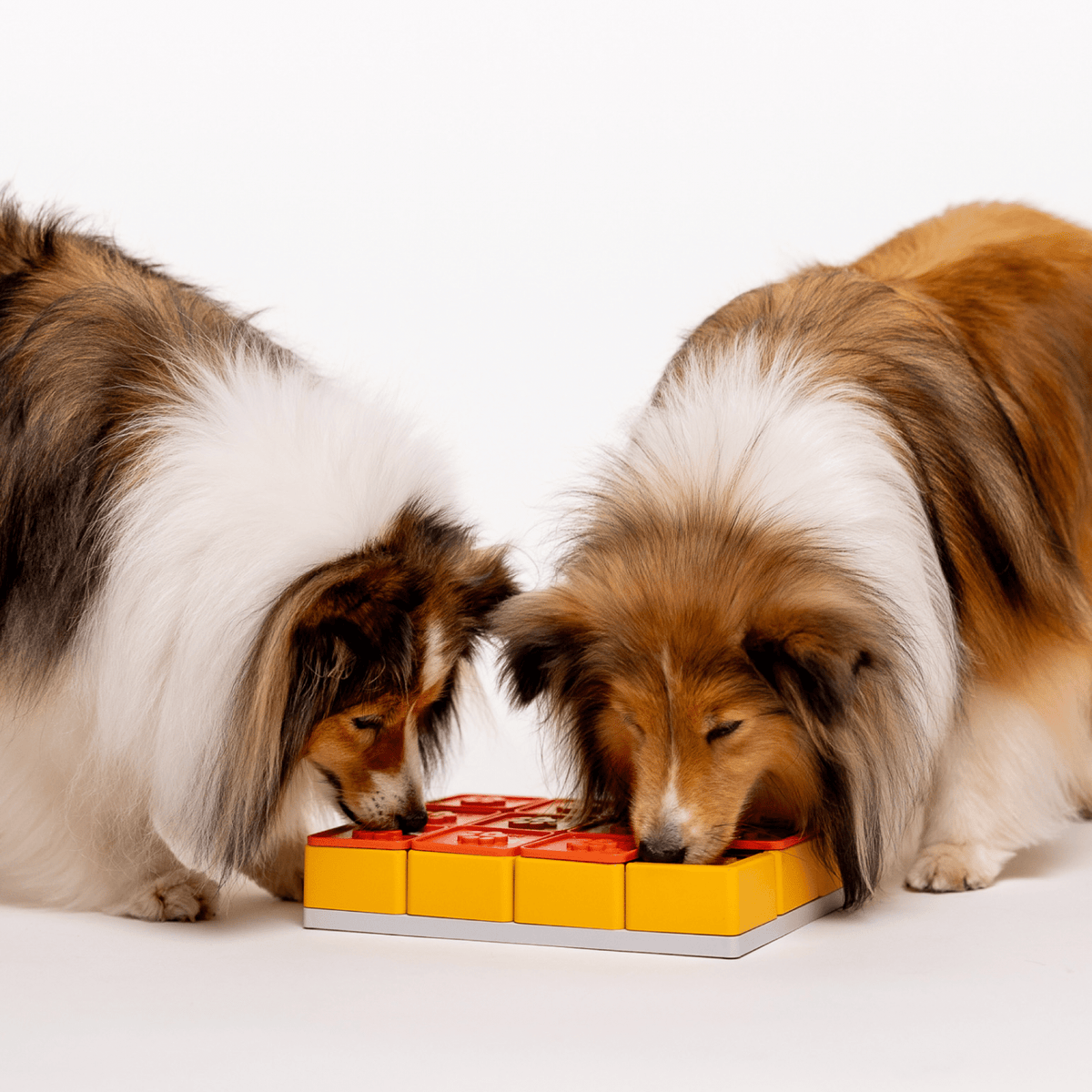 Treat Maze Set - Woof Living