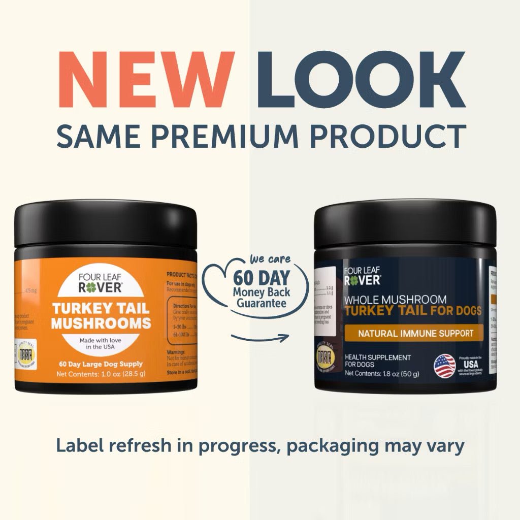 Turkey Tail Mushroom - Woof Living