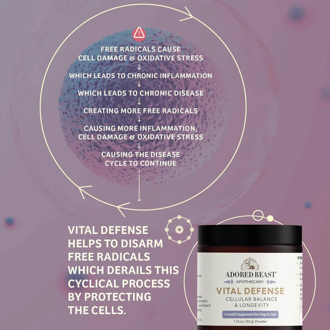 Vital Defense | Cellular Support - Woof Living