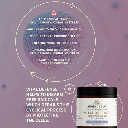 Vital Defense | Cellular Support - Woof Living