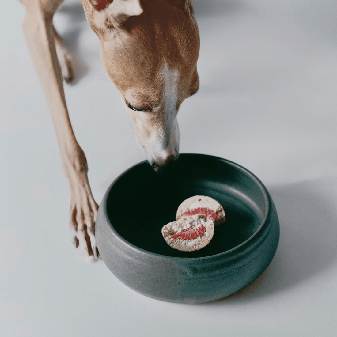 Wagashi Desserts Inspired by Miura - Woof Living