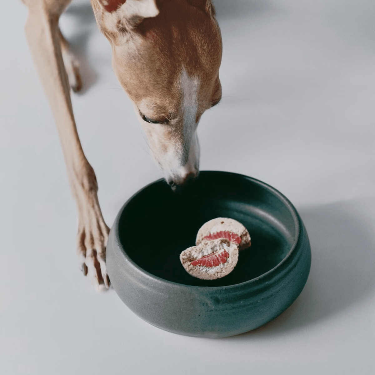 Wagashi Desserts Inspired by Miura - Woof Living