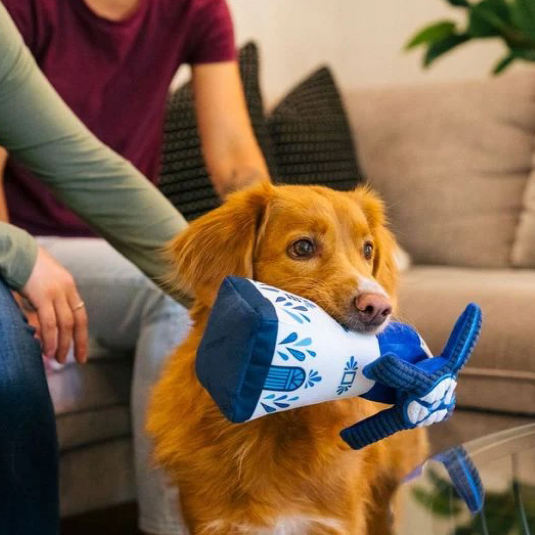 Windmill of Holland - Woof Living