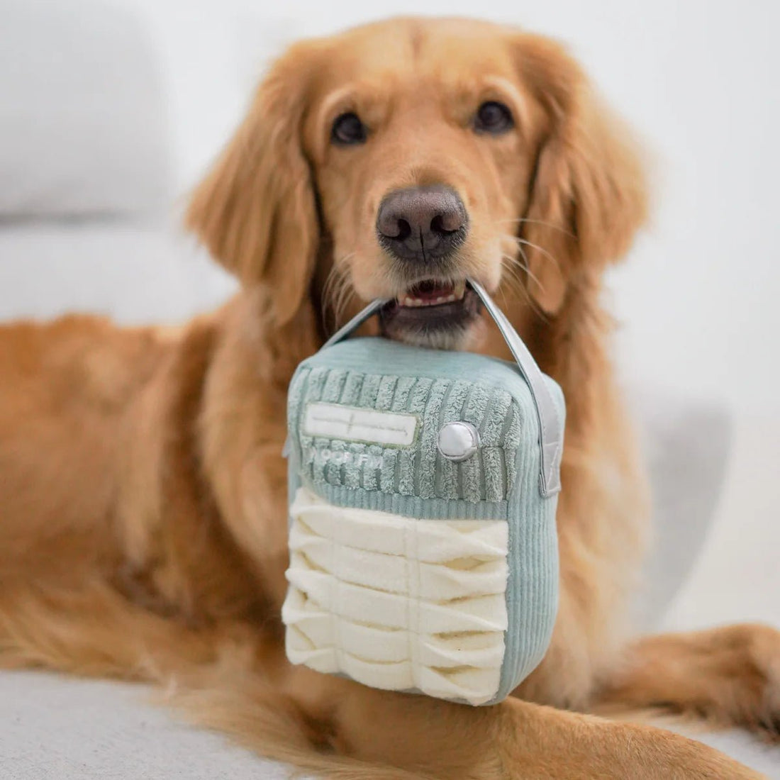 Woof FM - Woof Living