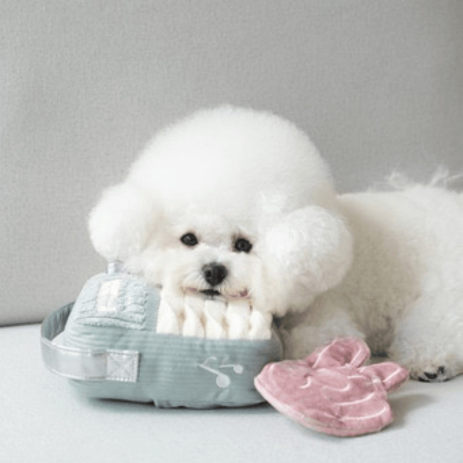 Woof FM - Woof Living