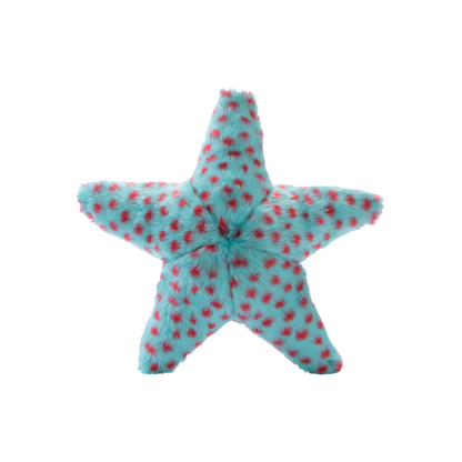 Ally The Starfish