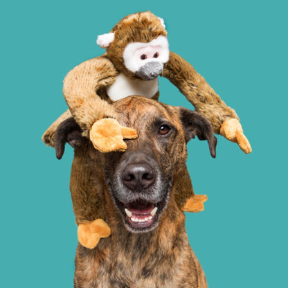 Albert Monkey - Woof Living