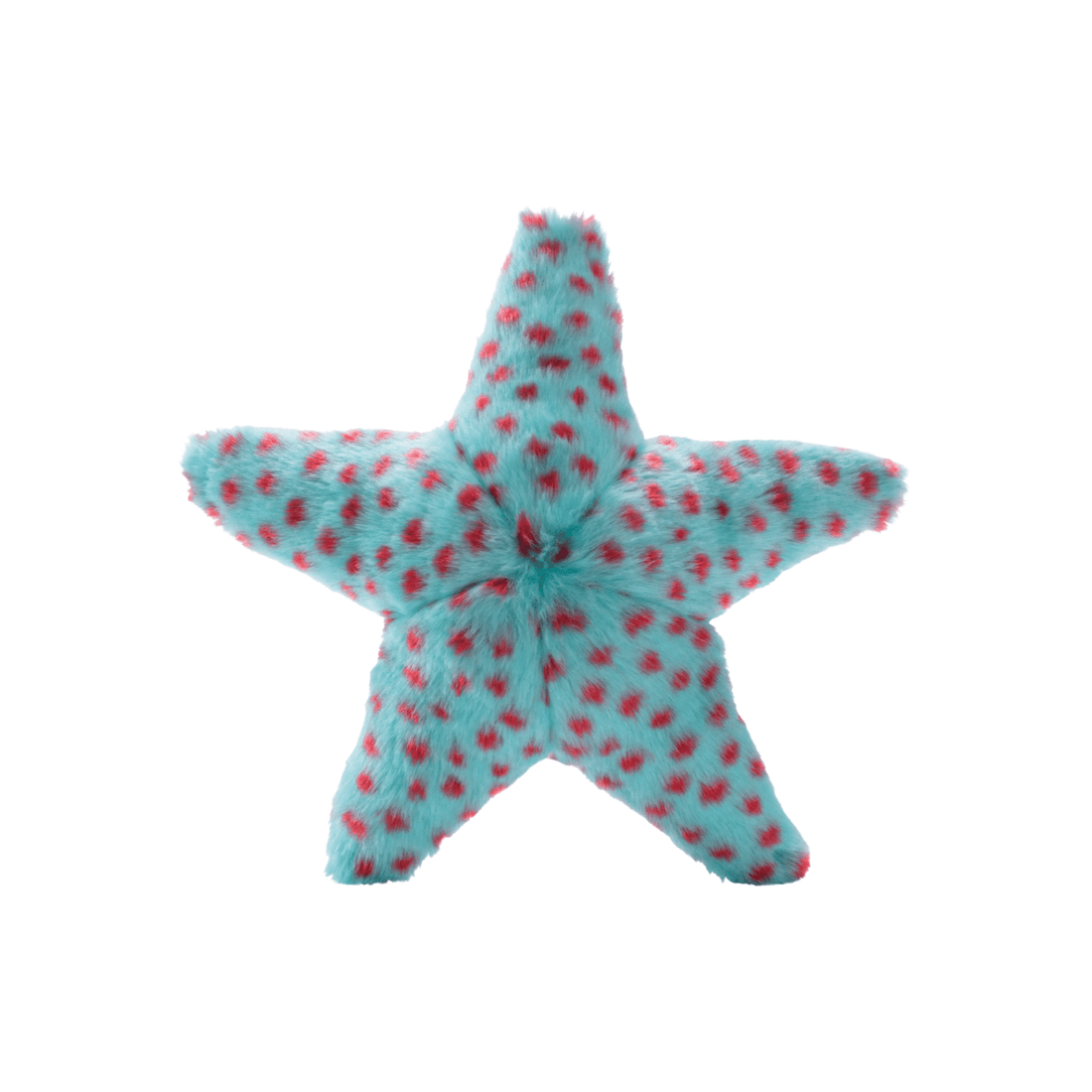 Ally Starfish - Woof Living