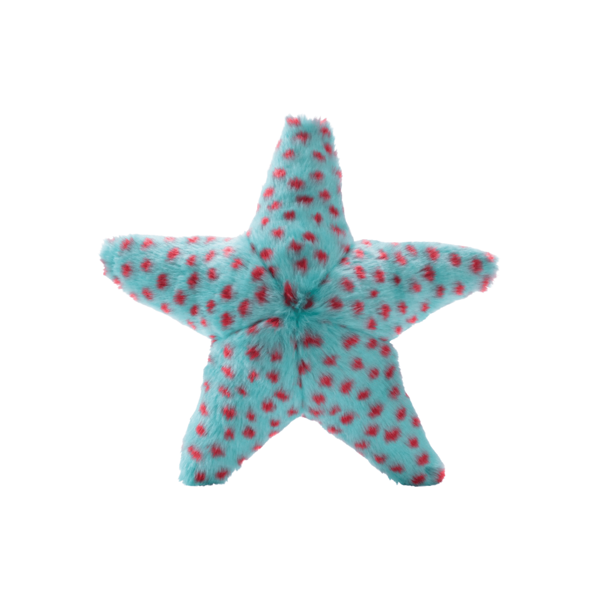 Ally Starfish - Woof Living