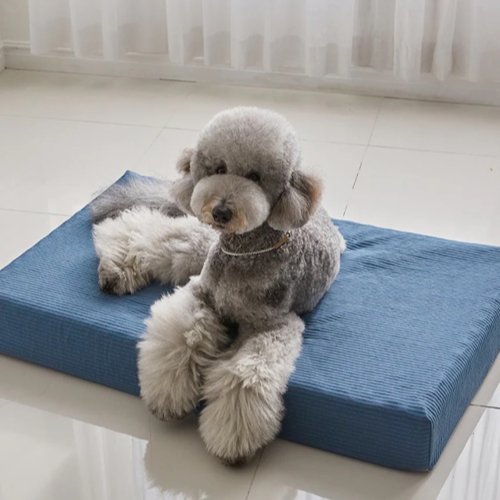 Barbichon Allergy Care Bed - Woof Living