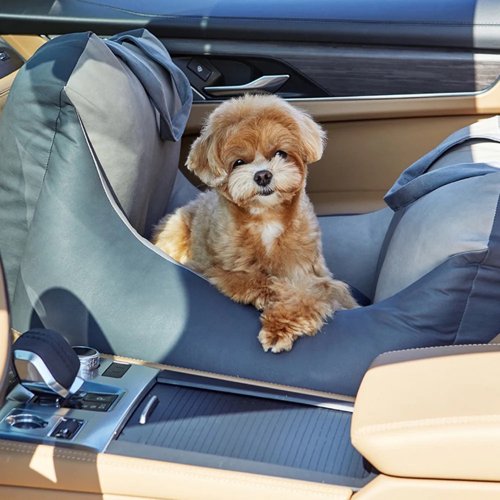 Barbichon Car Seat - Woof Living