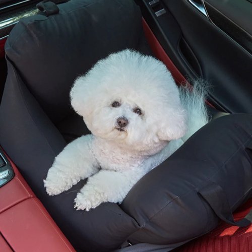 Barbichon Car Seat - Woof Living