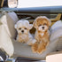 Barbichon Car Seat - Woof Living