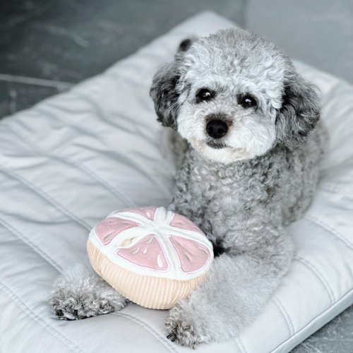 Grapefruit Snuffle Toy - Woof Living