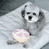 Grapefruit Snuffle Toy - Woof Living
