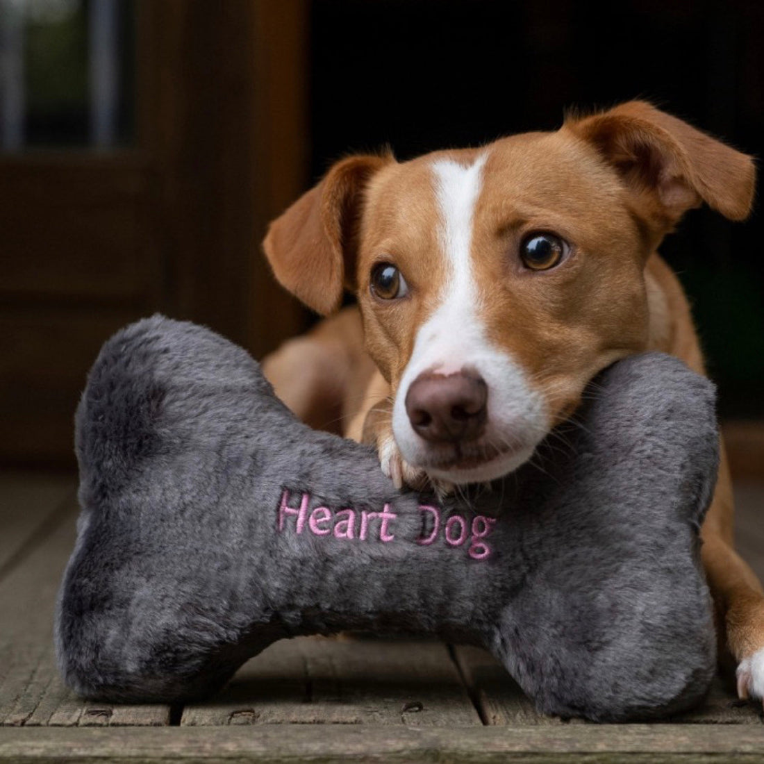 Heart Dog Bone - Woof Living