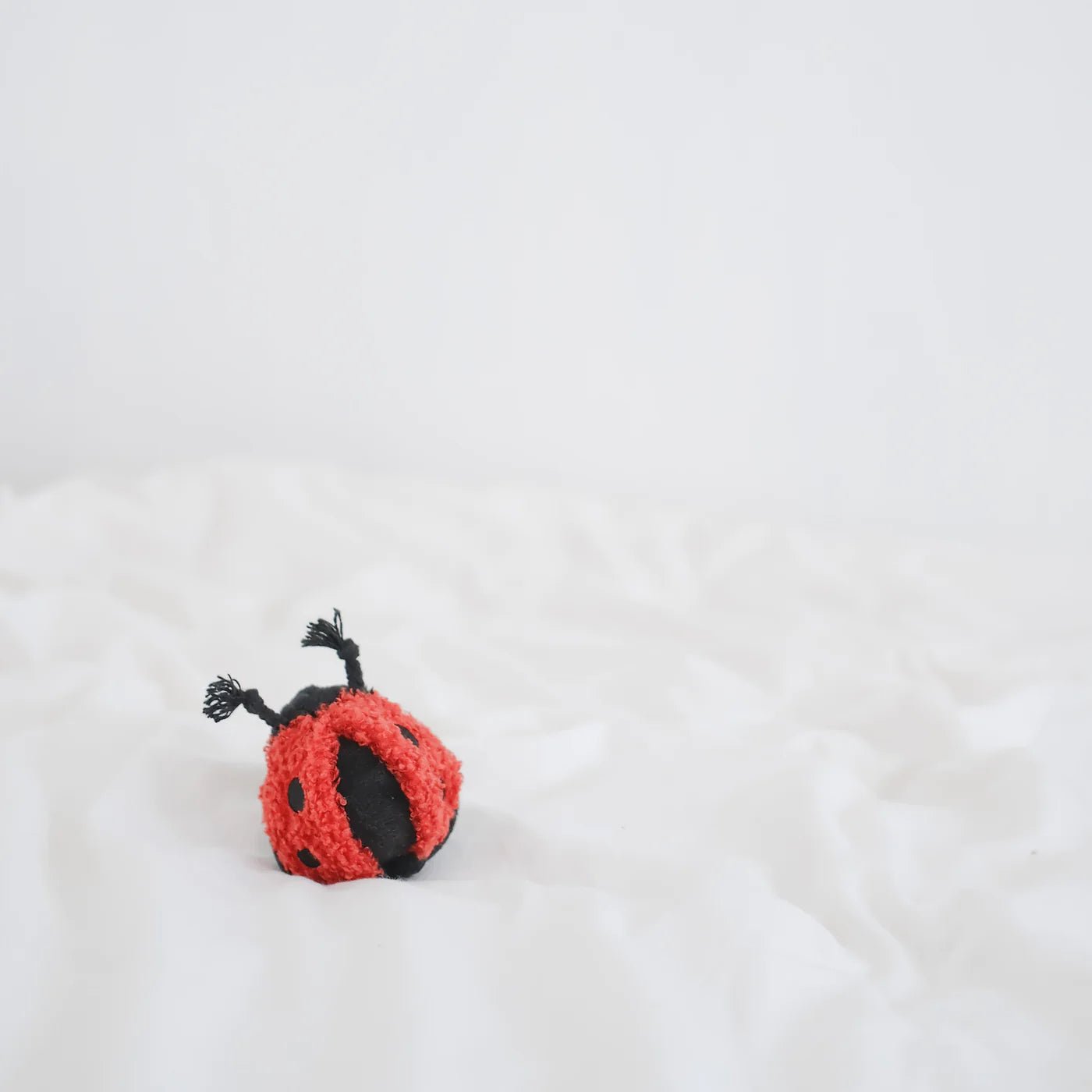 Mini Ladybug Pop - Woof Living