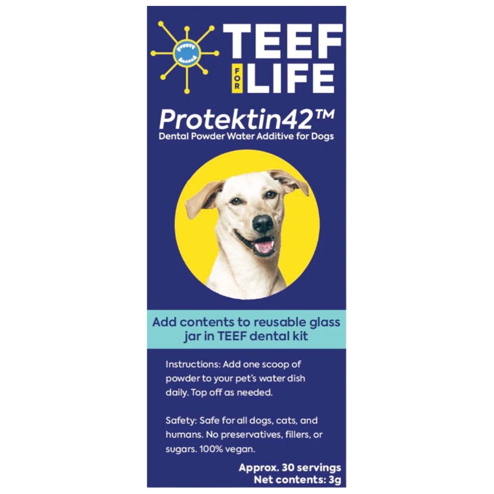 TEEF! Daily Dog Dental Care Regimen - Woof Living