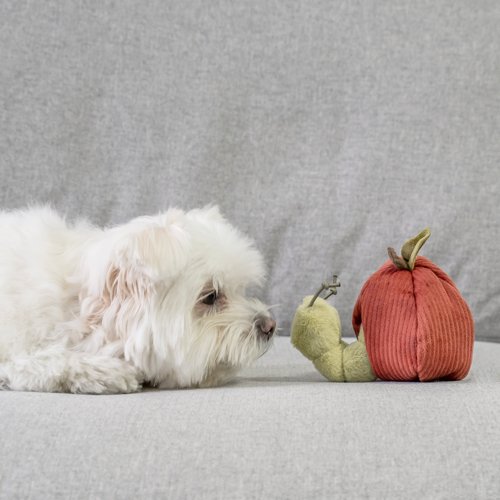 Worm in Apple Snuffle Toy - Woof Living